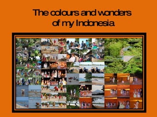 The colours and wonders  of my Indonesia 