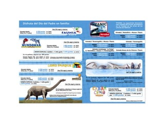 Guillermo Ortega - Portfolio 