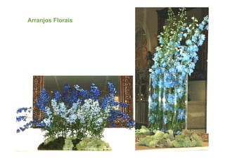 Arranjos Florais
 