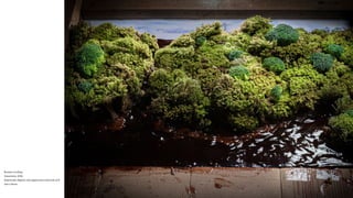 Renato Gosling
Amazonia, 2020
Impressão digital com pigmentos minerais 2/6
120 x 80cm
 