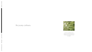 Architecture Design Portfolio