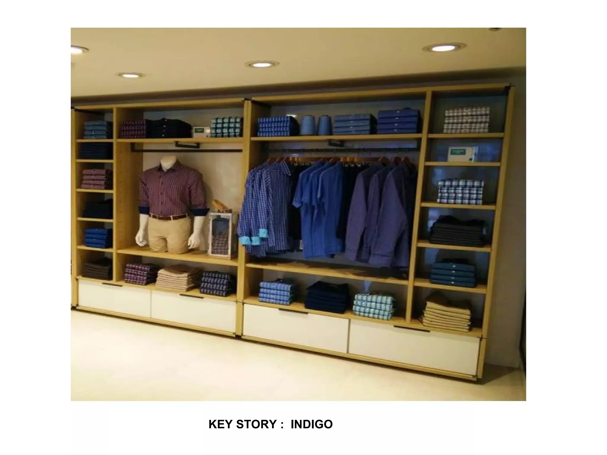 KEY STORY : INDIGO
 
