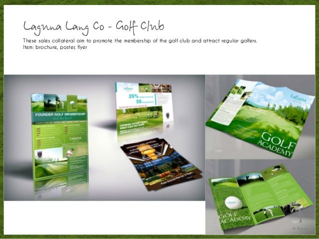 portfolio ta nguyen thy ta sales flyer