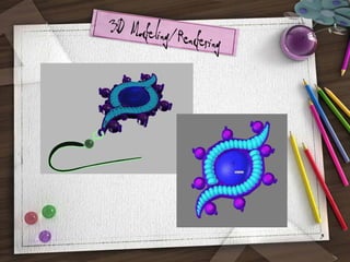 3D Modeling/R
endering

3

 