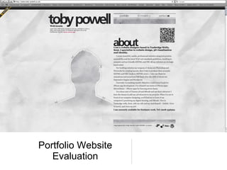 Portfolio Website Evaluation 