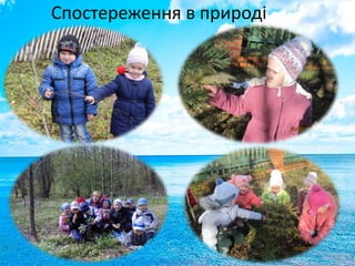 Спостереження в природі
 