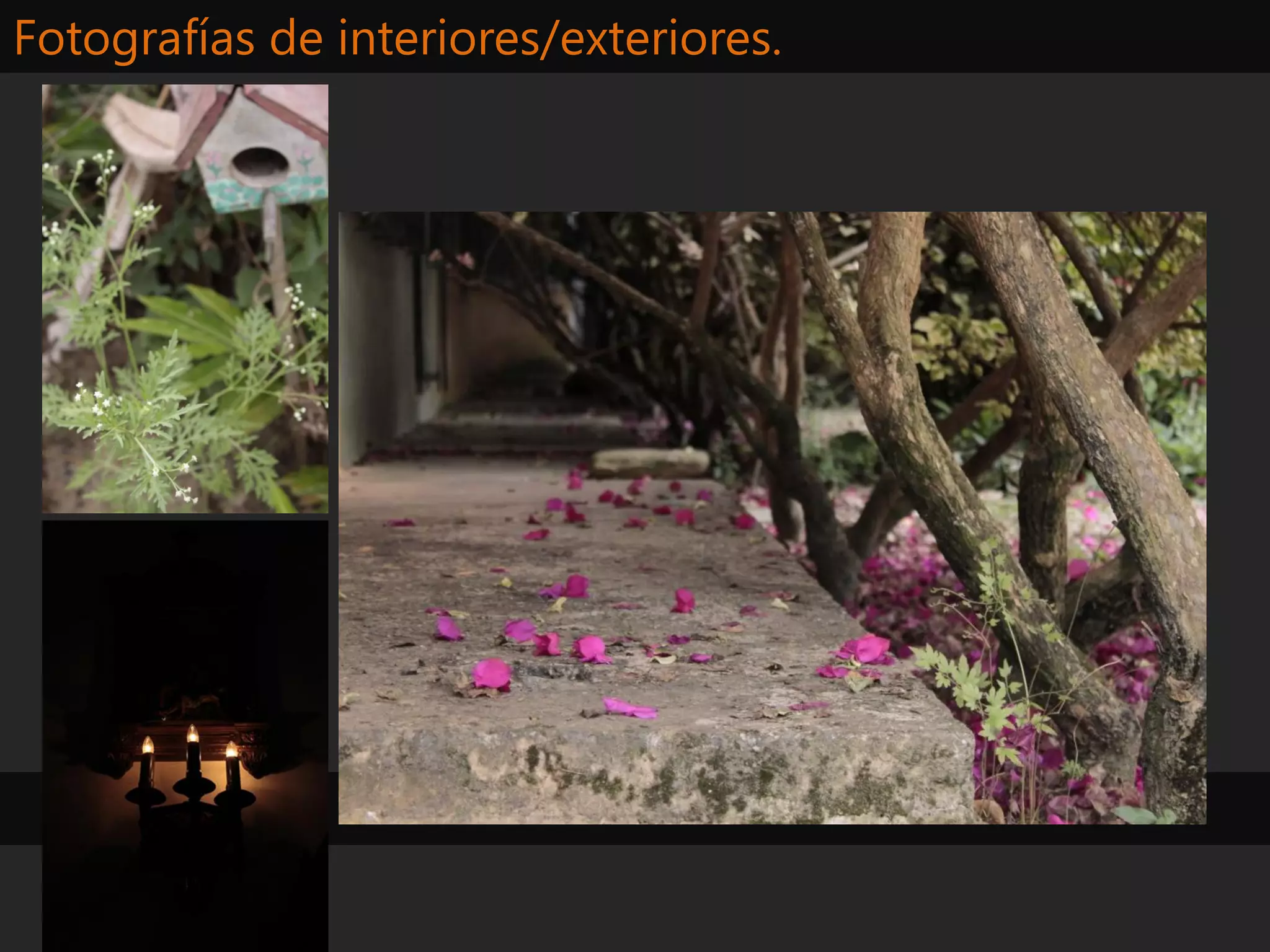 Fotografías de interiores/exteriores.