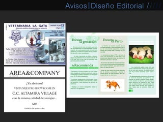 Avisos|Diseño Editorial /////
 