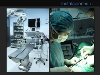 Instalaciones /////
 