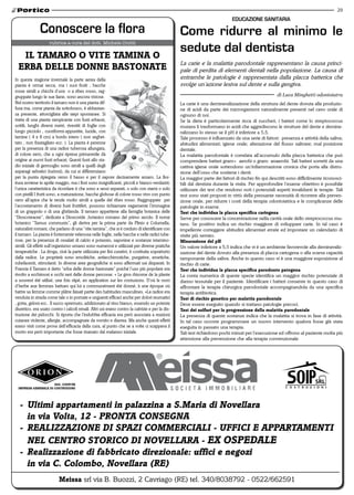 29
                                                                                                                            EDUCAzIONE SANITARIA

               Conoscere la flora                                                                Come ridurre al minimo le
   il tamaro o vite tamina o
                                                                                                 sedute dal dentista
                                                                                                 La carie e la malattia parodontale rappresentano la causa princi-
  erBa delle donne BaStonate                                                                     pale di perdita di elementi dentali nella popolazione. La causa di
In questa stagione invernale la parte aerea della                                                entrambe le patologie è rappresentata dalla placca batterica che
pianta è ormai secca, ma i suoi frutti , bacche                                                  svolge un’azione lesiva sul dente e sulla gengiva.
rosse simili a chicchi d’uva o a ribes rosso, rag-
gruppate lungo le sue liane, sono ancora vistose.                                                                                                   di Luca Minghetti odontoiatra
Nel nostro territorio il tamaro non è una pianta dif-                                            La carie è una demineralizzazione della struttura del dente dovuta alla produzio-
fusa ma, come pianta da sottobosco, è abbastan-                                                  ne di acidi da parte dei microrganismi naturalmente presenti nel cavo orale di
za presente, attorcigliata alle siepi spontanee. Si                                              ognuno di noi.
tratta di una pianta rampicante con fusti erbacei,                                               Se la dieta è particolarmente ricca di zuccheri, i batteri come lo streptococcus
sottili, lunghi diversi metri, rivestiti di foglie con                                           mutans li trasformano in acidi che aggrediscono le strutture del dente e demine-
lungo picciolo , cuoriformi-appuntite, lucide, con                                               ralizzano lo stesso se il pH è inferiore a 5,5.
lamine ( 4 x 8 cm) a bordo intero ( non seghet-                                                  Tale processo è influenzato da una serie di fattori: presenza e attività della saliva;
tato , non frastagliato ecc. ). La pianta è perenne                                              abitudini alimentari; igiene orale; alterazione del flusso salivare; mal posizione
per la presenza di una radice tuberosa allungata,                                                dentale.
di colore nero, che a ogni ripresa primaverile dà                                                La malattia parodontale è correlata all’accumulo della placca batterica che può
origine ai nuovi fusti erbacei. Questi fusti allo sta-                                           comprendere batteri gram+ aerobi o gram- anaerobi. Tali batteri sorretti da una
dio iniziale di germoglio sono simili a quelli degli                                             cattiva igiene orale sottendono un’infiammazione cronica che porta alla distru-
asparagi selvatici (turioni), da cui si differenziano                                            zione dell’osso che sostiene i denti.
per la punta ripiegata verso il basso e per il sapore decisamente amaro. La fior-                La maggior parte dei fattori di rischio fin qui descritti sono difficilmente riconosci-
itura avviene in aprile maggio, ma i fiori sono insignificanti, piccoli e bianco-verdastri;      bili dal dentista durante la visita. Per approfondire l’esame obiettivo è possibile
l’unica caratteristica da ricordare è che sono a sessi separati, o solo con stami o solo         utilizzare dei test che rendono noti i potenziali aspetti invalidanti le terapie. Tali
con pistilli I frutti sono, a maturazione, bacche globose di colore rosso vivo con punto         test sono stati proposti in virtù della pressante necessità di ricorrere alla preven-
nero all’apice che le rende molto simili a quelle del ribes rosso. Raggruppate per               zione orale, per ridurre i costi della terapia odontoiatrica e le complicanze delle
l’accostamento di diversi fusti fruttiferi, possono richiamare vagamente l’immagine              patologie in esame.
di un grappolo o di una ghirlanda. Il tamaro appartiene alla famiglia botanica delle             test che individua la placca specifica cariogena
“Dioscoreacee”, dedicata a Dioscoride ,botanico romano del primo secolo. Il nome                 Serve per conoscere la concentrazione nella cavità orale dello streptococcus mu-
botanico “Tamus communis”, gli deriva per la prima parte da Plinio e Columella,                  tans. Se positivo indica un rischio maggiore di sviluppare carie. In tal caso è
naturalisti romani, che parlano di una “vite tamina”, che si è creduto di identificare con       impellente correggere abitudini alimentari errate ed impostare un calendario di
il tamaro. La pianta è fortemente velenosa nelle foglie, nelle bacche e nelle radici tube-       visite più serrato.
rose, per la presenza di ossalati di calcio e potassio, saponine e sostanze istamino-            misurazione del ph
simili. Gli effetti sull’organismo umano sono numerosi e utilizzati per diverse pratiche         Un valore inferiore a 5,5 indica che vi è un ambiente favorevole alla demineraliz-
terapeutiche . La droga, cioè la parte utilizzata per fini curativi, è costituita soprattutto    zazione del dente dovuto alla presenza di placca cariogena o alla scarsa capacità
dalla radice. Le proprietà sono emolitiche, antiecchimotiche, purgative, emetiche,               tamponante della saliva. Anche in questo caso vi è una maggiore esposizione al
rubefacenti, stimolanti. In diverse aree geografiche si sono affermati usi disparati. In         rischio di carie.
Francia il Tamaro è detto “erba delle donne bastonate” poiché l’uso più popolare era             test che individua la placca specifica parodonto patogena
rivolto a ecchimosi e occhi neri delle donne percosse. « Le gros rhizome de la plante            La conta numerica di queste specie identifica un maggior rischio potenziale di
a souvent été utilisé, une fois râpé, en application sur les contusions. D’où le nom             danno tessutale per il paziente. Identificare i batteri consente in questo caso di
d’herbe aux femmes battues qui lui a communément été donné, à une époque où                      affrontare la terapia chirurgica parodontale accompagnandola da una specifica
battre sa femme comme plâtre faisait partie des habitudes masculines. »La radice era             terapia antibiotica.
venduta in strada come tale o in pomate e unguenti efficaci anche per dolori reumatici           test di rischio genetico per malattia parodontale
, gotta, geloni ecc.. Il succo spremuto, addizionato al vino bianco, essendo un potente          Deve essere eseguito quando si trattano patologie precoci.
diuretico, era usato contro i calcoli renali. Altri usi erano contro la calvizie e per la dis-   test dei solfuri per la progressione della malattia parodontale
truzione dei pidocchi. Si riporta che l’indubbia efficacia era però associata a reazioni         La presenza di queste sostanze indica che la malattia si trova in fase di attività.
cutanee violente, allergie, accompagnate da vomito e diarrea. Ma anche questi effetti            In tal caso occorre programmare un nuovo intervento qualora fosse già stata
erano visti come prova dell’efficacia della cura, al punto che se a volte ci scappava il         eseguita in passato una terapia.
morto era però importante che fosse risanato dal malanno iniziale.                               Tali test richiedono pochi minuti per l’esecuzione ed offrono al paziente molta più
                                                                                                 attenzione alla prevenzione che alla terapia convenzionale.




                     SoC. CooP.va
 imPreSa Generale di CoStruzioni




  - ultimi appartamenti in palazzina a S.maria di novellara
    in via volta, 12 - Pronta ConSeGna
  - realizzazione di SPazi CommerCiali - uFFiCi e aPPartamenti
    nel Centro StoriCo di novellara - ex oSPedale
  - realizzazione di fabbricato direzionale: uffici e negozi
    in via C. Colombo, novellara (re)
                          meissa srl via B. Buozzi, 2 Cavriago (RE) tel. 340/8038792 - 0522/662591
 