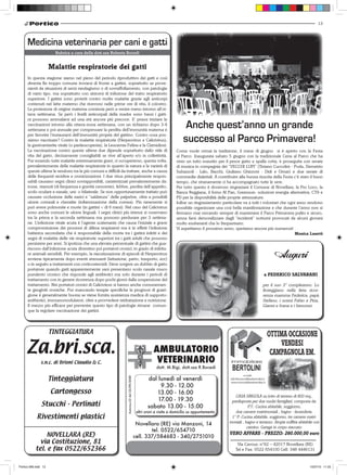 13



      Medicina veterinaria per cani e gatti
                        Rubrica a cura della dott.ssa Roberta Bocedi


                      Malattie respiratorie dei gatti
      In questa stagione siamo nel pieno del periodo riproduttivo dei gatti e così
      diventa fin troppo comune trovarsi di fronte a gattini, soprattutto se prove-
      nienti da situazioni di semi randagismo o di sovraffollamento, con patologie
      di vario tipo, ma soprattutto con sintomi di infezione del tratto respiratorio
      superiore. I gattini sono protetti contro molte malattie grazie agli anticorpi
      contenuti nel latte materno che ricevono nelle prime ore di vita, il colostro.
      La protezione di origine materna comincia però a venire meno intorno all’ot-
      tava settimana. Se però i livelli anticorpali della madre sono bassi i gatti-
      ni possono ammalarsi ad una età ancora più precoce. E’ prassi iniziare le
      vaccinazioni intorno alla ottava-nona settimana, con un richiamo dopo 3-4
      settimane e poi annuale per compensare la perdita dell’immunità materna e
                                                                                                                           Anche quest’anno un grande
      per favorire l’instaurarsi dell’immunità propria del gattino. Contro cosa pos-
      siamo vaccinare? Contro le malattie respiratorie (Herpesvirus e Calicivirus),
      la gastroenterite virale (o panleucopenia), la Leucemia Felina e la Clamidiosi.
                                                                                                                          successo al Parco Primavera!
      La vaccinazione contro queste ultime due dipende soprattutto dallo stile di                                     Come vuole ormai la tradizione, il mese di giugno si è aperto con la Festa
      vita del gatto, decisamente consigliabili se vive all’aperto e/o in collettività.                               al Parco. Inaugurata sabato 5 giugno con la tradizionale Cena al Parco che ha
      Pur essendo tutte malattie estremamente gravi, ci occuperemo, questa volta,                                     visto un tutto esaurito per il pesce gatto e spalla cotta, è proseguita con serate
      prevalentemente delle malattie respiratorie in quanto la natura e la varietà di                                 di musica in compagnia dei “VECCHI LUPI” (Tiziano Cuccolini - Poda, Demetrio
      queste ultime le rendono tra le più comuni e difficili da trattare, anche a causa                               Subazzoli - Lalo, Bacchi, Giuliano Ghizzoni - Didi e Omar) e due serate di
      delle frequenti recidive e cronicizzazioni. I due virus principalmente respon-                                  commedie dialettali. A contribuire alla buona riuscita della Festa c’è stato il buon
      sabili causano segni clinici sovrapponibili, caratterizzati prevalentemente da:                                 tempo, che stranamente ci ha accompagnato tutte le sere.
      tosse, starnuti (di frequenza e gravità crescente), febbre, perdita dell’appetito,                              Per tutto questo è doveroso ringraziare il Comune di Novellara, la Pro Loco, la
      scolo oculare e nasale, uni- o bilaterale. Se non opportunamente trattato può                                   Banca Reggiana, il forno Al Pan, Greensun- soluzioni energia alternativa, CT9 e
      causare occlusione delle narici e “saldatura” delle palpebre, oltre a possibili                                 PD per la disponibilità delle proprie attrezzature.
      ulcere corneali e cheratite (infiammazione della cornea). Più raramente si                                      Infine un ringraziamento particolare va a tutti i volontari che ogni anno rendono
      può avere polmonite e morte (in gattini < di 6 mesi). Nel caso del Calicivirus                                  possibile organizzare una così bella manifestazione e che durante l’anno non si
      sono anche comuni le ulcere linguali. I segni clinici più intensi si osservano                                  fermano mai cercando sempre di mantenere il Parco Primavera pulito e sicuro,
      tra la prima e la seconda settimana ma possono perdurare per 3 settima-                                         senza farsi demoralizzare dagli “incidenti” notturni provocati da alcuni giovani
      ne. L’infezione virale acuta è l’agente scatenante che causa l’iniziale e grave                                 molto esuberanti che lo frequentano.
      compromissione dei processi di difesa respiratori ma è in effetti l’infezione                                   Vi aspettiamo il prossimo anno, speriamo ancora più numerosi!
      batterica secondaria che è responsabile della morte tra i gattini infetti e dei                                                                                                    Monica Lusetti
      segni di malattia delle vie respiratorie superiori tra i gatti adulti che possono
      persistere per anni. Si ipotizza che una elevata percentuale di gattini che gua-
      riscono dall’infezione acuta diventino poi portatori cronici, in grado di infetta-
      re animali sensibili. Per esempio, la riacutizzazione di episodi di Herpesvirus
      avviene tipicamente dopo eventi stressanti (lattazione, parto, trasporto, ecc)
                                                                                                                                                                                      Auguri
      o in seguito a trattamenti con corticosteroidi. Deve sorgere un dubbio di gatto
      portatore quando gatti apparentemente sani presentano scolo nasale muco
      purulento cronico che risponde agli antibiotici ma solo durante i periodi di                                                                                             a FEDERICO SALVARANI
      trattamento con in genere ricorrenza dopo pochi giorni dalla sospensione del
      trattamento. Nei portatori cronici di Calicivieus si hanno anche comunemen-                                                                                              per il suo 3° compleanno. Lo
      te gengiviti croniche. Pur mancando terapie specifiche la prognosi di guari-                                                                                             festeggiano nella lieta ricor-
      gione è generalmente buona se viene fornita assistenza medica di supporto:                                                                                               renza mamma Federica, papà
      antibiotici, immunomodulatori, oltre a provvedere reidratazione e nutrizione.                                                                                            Stefano, i nonni Fabio e Pina,
      Il mezzo più efficace per prevenire questo tipo di patologie rimane comun-                                                                                               Gianni e Ivana e i bisnonni.
      que la regolare vaccinazione dei gattini.




                                                                                                                                                                                    OTTIMA OCCASIONE
                                                                                                                                                                                        VENDESI
                                                                                                                                                                                     CAMPAGNOLA EM.
                                                                                                          dott. M.Bigi, dott.ssa R.Bocedi
                                                                                                                                                             e-mail:
                                                                                                     dal lunedì al venerdì
                                                                Autorizz.22 del 25/09/2000




                                                                                                                                                     info@immobiliarebertolini.it
                                                                                                                                                     www.immobiliarebertolini.it
                                                                                                        09.30 - 12.00
                                                                                                        13.00 - 16.00
                                                                                                                                                       CASA SINGOLA su lotto di terreno di 800 mq.,
                                                                                                         17.00 - 19.30                               predisposta per due nuclei famigliari, composta da:
                                                                                                     sabato 13.00 - 15.00                                       P.T.: Cucina abitabile, soggiorno,
                                                                                              altri orari e visite a domicilio su appuntamento         due camere matrimoniali , bagno - lavanderia.
                                                                                                                                                     1° P: Cucina abitabile, soggiorno, tre camere matri-
                                                                                              Novellara (RE) via Manzoni, 14                        moniali , bagno e terrazzo. Ampia soffitta abitabile con
                                                                                                                                                               camino. Garage in corpo staccato.
                                                                                                     tel. 0522/654710
                                                                                                                                                    VERO AFFARE - PREZZO: 260.000,00 euro
                                                                                             cell. 337/584683 - 340/2751010
                                                                                                                                                         Via Cavour, n°62 – 42017 Novellara (RE)
                                                                                                                                                        Tel e Fax: 0522 654100 Cell: 348 4446131


Portico-269.indd 13                                                                                                                                                                                     15/07/10 11.03
 