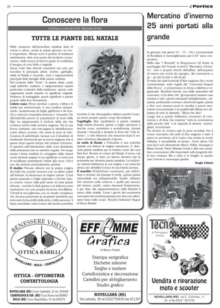 28


                                                                                                                    Mercatino d’inverno
                            Conoscere la flora
                                                                                                                    25 anni portati alla
                   tuttE LE PIANtE DEL NAtALE                                                                       grande
 Nella creazione dell’atmosfera natalizia fatta di
 colore e calore, anche le piante giocano un ruo-
                                                                                                                    In gennaio (nei giorni 14 – 15 – 16) i commercianti
 lo importante. Alcune sono il portato di tradizioni
                                                                                                                    di Novellara ci meraviglieranno per il 25° anno con-
 antichissime, altre sono parte del moderno consu-
                                                                                                                    secutivo.
 mismo, della ricerca di beni in grado di soddisfare
                                                                                                                    Nella sala “I Nomadi” in Borgonuovo (di fronte al
 il bisogno di cose belle e originali.
                                                                                                                    parcheggio del Conad) si terrà il “Mercatino d’Inver-
 Senza voler fare elenchi esaurienti ma solo per
                                                                                                                    no”, vero e proprio trionfo dell’affare, dell’acquisto
 ricordare le principali, abete, vischio, agrifoglio,
                                                                                                                    di merce con sconti da capogiro, del commercio a
 stella di Natale e muschio, sono i rappresentanti
                                                                                                                    go – go del di tutto e del di più.
 principali della famiglia delle piante natalizie.
                                                                                                                    Si tratta dei saldi invernali di fine stagione che i nostri
 Nel contesto delle “Feste”, le piante citate, usate
                                                                                                                    commercianti, sotto l’egida del “Consorzio Empori
 negli addobbi, esaltano o rappresentano aspetti
                                                                                                                    della Rocca”, ci proporranno in forma collettiva e or-
 particolari costitutivi della tradizione, spesso solo
                                                                                                                    ganizzata. Nicoletta Davoli, una delle animatrici del
 vagamente intuiti rispetto ai significati originali.
                                                                                                                    consorzio, ci ha detto che ”gli espositori saranno una
 Vediamo di tratteggiare questi significati a partire
                                                                                                                    ventina e tutti i generi principali (abbigliamento, cal-
 proprio dalla loro formazione.
                                                                                                                    zature, profumeria-cosmesi, articoli da regalo, piante
 L’abete rosso (Picea excelsa) o peccio, l’albero di
                                                                                                                    e fiori, ecc) saranno posti in vendita a prezzi vera-
 natale per antonomasia, è una conifera sempre-
                                                                                                                    mente concorrenziali, e la qualità dell’offerta non de-
 verde, caratterizzata da foglie aghiformi e da tron-
                                                          invertire il calo demografico italiano poiché l’usan-     luderà di certo la clientela”. Allora che dire?
 chi a corteccia screpolata resinosa e rossastra. Fin
                                                          za aveva proprio questo scopo fecondante.                 Lunga vita a questo bellissimo momento di com-
 dall’antichità presso le popolazioni al nord delle
                                                          L’agrifoglio (Ilex aquifolium) è pianta natalizia         mercio e di festa che esprime “tutta la convenienza
 Alpi, ha rappresentato il simbolo della vita che
                                                          degli antichi Romani, pianta a foglie spinulose e         della piccola città” e la capacità di attrarre, meravi-
 continua anche nella avversa stagione. Per la sua
                                                          bacche rosse, protettrice e portafortuna, donata          gliare, emozionare.
 forma svettante, vari miti pagani lo identificavano
                                                          durante i Saturnali e durante la festa del “Sole in-      Per dovere di cronaca vale la pena ricordare che il
 come albero cosmico che univa la terra al cielo.
                                                          victus”, o sole vittorioso che rinasceva dopo il sol-     nostro mercatino dei saldi di fine stagione è stato il
 L’usanza di addobbarlo nacque con il desiderio di
                                                          stizio d’inverno allungando il giorno.                    primo in provincia, ed è l’unico che resiste in modo
 renderselo favorevole per la nuova stagione che si
                                                          La stella di Natale o Poinsettia è una euforbia           brillante e inossidabile al tempo. Forse allora (25
 apriva dopo questo tempo del solstizio d’inverno.
                                                          (piante con lattice) di origine messicana. E’ dive-       anni fa) il non dimenticato Marco Tellini, Giuseppe e
 Si sperava nell’ottenimento delle cose desiderate
                                                          nuta pianta natalizia per le brattee rosse dei suoi       Maria Davoli, Pietro Mariani Cerati e altri non avreb-
 nella primavera che ne sarebbe seguita. Per lungo
                                                          falsi fiori. Recare un colore del Natale, il rosso, nel   bero scommesso cifre importanti sulla longevità del-
 tempo l’abete natalizio fu osteggiato dalla chiesa
                                                          tempo giusto, è stato un fattore decisivo per la          la loro creatura. Ma a volte ci si sbaglia: in questo
 come simbolo pagano il cui significato si cercò poi
                                                          poinsettia per divenire pianta natalizia. La tradizio-    caso l’errore è comunque gradito.
 di modificare assimilando l’abete alla croce. Ora è
                                                          ne tuttavia attribuisce la sua origine a un miracolo                                                  sergio calzari
 uno dei simboli universalmente adottati.
 Il vischio (Viscum album) era la pianta magica           divino per abbellire il dono di una bimba povera.
 dei Galli che, poiché cresceva solo su alberi colpiti    Il muschio (Polytrichum commune), per addob-
 dal fulmine, la ritenevano di origine celeste. E’una     bare e ricreare nel presepe il verde, questa pianta
 pianta parassita a foglie spatolate e bacche bian-       primordiale era indispensabile. Quello vellutato
 co-cenere; cresce sulle parti aeree di varie piante      che cresceva sulla cortecce o quello più ramoso
 arboree , succhia la linfa grezza e la elabora come      del terreno umido, erano elementi fondamenta-
 nutrimento con una propria funzione clorofilliana.       li per dare alla rappresentazione della Natività il
 I Druidi la raccoglievano con un rituale complesso       senso della vitalità. Forse i giochi dei movimenti
 che doveva preservare le proprietà benefiche per         meccanici dei moderni presepi non riescono altret-
 rinnovare la fecondità della terra e delle persone. Il   tanto bene nello scopo. Ricordi d’infanzia? Auguri
 bacio scambiato sotto il ramo del vischio potrebbe       di Buon Natale!




                                                                              di Marco Faietti

                                                                   Stampa serigrafica
                                                                    Etichette adesive
                                                                     Targhe e tastiere
     ottIcA - oPtoMEtRIA                                      Cartellonistica e decorazione
       coNtAttoLoGIA                                          Cartellini per abbigliamento
                                                                      Studio grafico
 NoVELLARA (RE) Corso Garibaldi, 21 tel. 654658
 cAMPAGNoLA EM. (RE) P.zza Roma tel.669883                              NoVELLARA (RE)
   RoLo (RE) Corso Repubblica, 67 tel.658376                Via Labriola, 36 tel.0522/756639 fax 651397
 