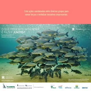 Criei ações coordenadas entre diversos grupos para
somar forças e revitalizar iniciativas empresariais.
 