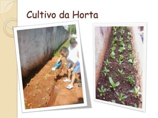 Cultivo da Horta

 