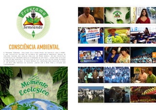 Portifólio Bros 2007