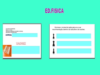 Portifólio 1º semestre 2014