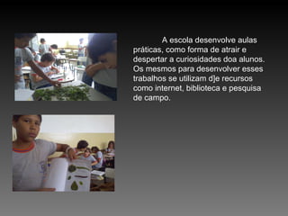 A escola desenvolve aulas práticas, como forma de atrair e despertar a curiosidades doa alunos. Os mesmos para desenvolver esses trabalhos se utilizam d]e recursos como internet, biblioteca e pesquisa de campo. 