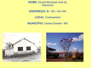 NOME: Escola Municipal José do
Patrocínio
ENDEREÇO: Br. 163 – Km 444
LOCAL: Cachoeirinha
MUNICIPIO: Campo Grande - MS
1981 2014
 