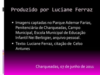 Produzido por Luciane Ferraz

 Imagens captadas no Parque Ademar Farias,
  Penitenciária de Charqueadas, Campo
  Municipal, Escola Municipal de Educação
  Infantil Nei Berbigier, arquivo pessoal.
 Texto: Luciane Ferraz, citação de Celso
  Antunes



             Charqueadas, 07 de junho de 2011
 