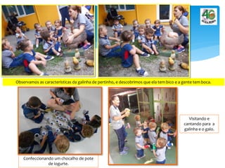 Confeccionando um chocalho de pote
de iogurte.
Visitando e
cantando para a
galinha e o galo.
Observamos as características da galinha de pertinho, e descobrimos que ela tem bico e a gente tem boca.
 