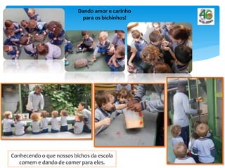 Conhecendo o que nossos bichos da escola
comem e dando de comer para eles.
Dando amor e carinho
para os bichinhos!
 