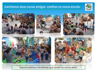 Ganhamos duas novas amigas coelhas na nossa escola:
Depois votamos e decidimos qual seriam os nomes delas.
 