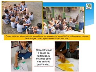 Fomos visitar as tartarugas e os passarinhos, personagens da nossa história e observamos o casco
da tartaruga e como os passarinhos fazem para voar.
Reconstruímos
o casco da
tartaruga. E
colamos pena
nas asas do
passarinho.
 