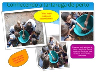 Conhecendo a tartaruga de perto
Pudemos sentir a textura do
casco e sua forma. Depois
buscamos elementos para
comparar semelhanças e
diferenças.
Todos foram
corajosos e
fizeram carinho.
 