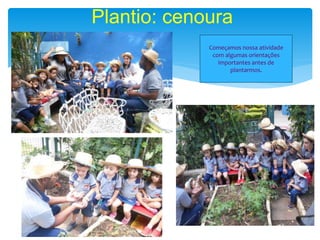 Plantio: cenoura
Começamos nossa atividade
com algumas orientações
importantes antes de
plantarmos.
 