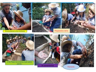 Encontramos uma minhoca Preparando a terra.
O tio Pepe nos ensinou tudo sobre
plantio.
As sementinhas
Plantando.
 
