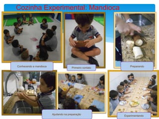 Cozinha Experimental: Mandioca
Conhecendo a mandioca
Primeiro contato
Preparando
Ajudando na preparação.
Experimentando
 