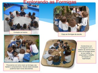 Explorando as Formigas
Contação da história
Caça as formigas da escola.
Procuramos ver como vivem as formigas, seu
habitat e comportamento. Através desta atividade
pudemos fazer novas descobertas.
Construímos um
formigueiro com o
objetivo de vermos como
vivem as formigas dentro
de seu habitat, a
cooperação o trabalho
em equipe e a
organização.
 