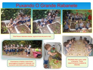 Puxando O Grande Rabanete
Oba!! Nosso rabanete cresceu, agora é hora de puxar a raiz.
Resultado final: Lavar, cortar
e temperar. Todos
experimentaram a salada de
rabanete.
Vivenciamos a história, todos foram
personagens e puxaram o rabanete. Um
momento muito lúdico para as crianças.
 