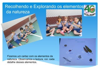 Recolhendo e Explorando os elementos
da natureza
Fizemos um cartaz com os elementos da
natureza. Observamos a textura, cor, cada
detalhe desses elementos.
 