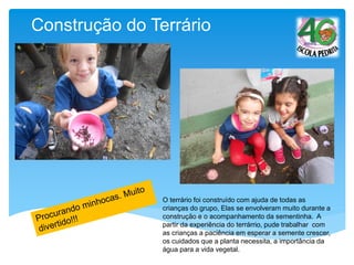 Construção do Terrário
O terrário foi construído com ajuda de todas as
crianças do grupo, Elas se envolveram muito durante a
construção e o acompanhamento da sementinha. A
partir da experiência do terrárrio, pude trabalhar com
as crianças a paciência em esperar a semente crescer,
os cuidados que a planta necessita, a importância da
água para a vida vegetal.
 