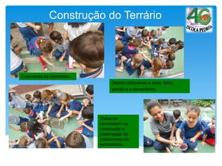 Colocamos as pedrinhas...
Construção do Terrário
Depois colocamos a areia, terra,
carvão e a sementinha.
Todos se
envolveram na
construção e
observação do
crescimento da
sementinha.
 