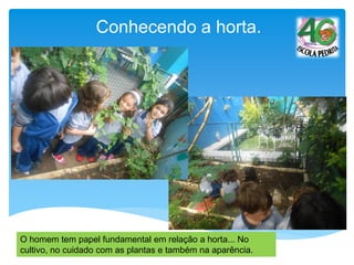 Conhecendo a horta.
O homem tem papel fundamental em relação a horta... No
cultivo, no cuidado com as plantas e também na aparência.
 