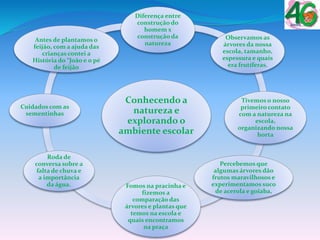 Conhecendo a
natureza e
explorando o
ambiente escolar
Diferença entre
construção do
homem x
construção da
natureza
Observamos as
árvores da nossa
escola, tamanho,
espessura e quais
era frutíferas.
Tivemos o nosso
primeiro contato
com a natureza na
escola,
organizando nossa
horta
Percebemos que
algumas árvores dão
frutos maravilhosos e
experimentamos suco
de acerola e goiaba.
Fomos na pracinha e
fizemos a
comparação das
árvores e plantas que
temos na escola e
quais encontramos
na praça
Roda de
conversa sobre a
falta de chuva e
a importância
da água.
Cuidados com as
sementinhas
Antes de plantamos o
feijão, com a ajuda das
crianças contei a
História do “João e o pé
de feijão
 