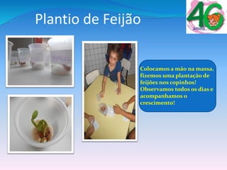 Plantio de Feijão
Colocamos a mão na massa,
fizemos uma plantação de
feijões nos copinhos!
Observamos todos os dias e
acompanhamos o
crescimento!
 