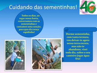 Cuidando das sementinhas!
Dorme sementinha,
com tanta ternura,
vou deixar-te agora
nessa terra escura,
mas não te
abandono, virei
todo dia, sobre o seu
canteiro jogar água
fria!
Todos os dias, ao
regar nossa horta,
conversamos com as
sementinhas e
cantamos uma canção,
para que ela cresça
rapidinho!
 