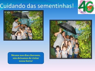 Cuidando das sementinhas!
Mesmo nos dias chuvosos,
não deixamos de visitar
nossa horta!
 