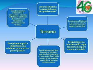 Terrário
Leitura da história
“a sementinha que
não queria crescer”
Levantamos a hipótese:
“o que é um terrário” o
que precisamos para
montar um terrário?
Pesquisamos na
internet tudo o que
precisávamos para
montar o terrário.Construímos uma lista
de todos os matérias
que precisávamos para
a construção do terrário
o que encontrávamos
na escola e o que não
encontrávamos.
Pesquisamos qual a
importância da
minhoca para a terra e
para o plantio.
Construímos um
minhocário e
colocamos o nome de
“cidade das minhocas,
alimentamos as
minhocas e
observamos sua
vivência.
 