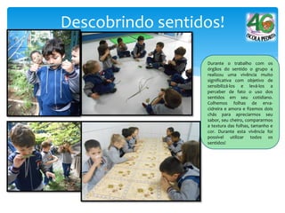 Descobrindo sentidos!
Durante o trabalho com os
órgãos do sentido o grupo 4
realizou uma vivência muito
significativa com objetivo de
sensibilizá-los e levá-los a
perceber de fato o uso dos
sentidos em seu cotidiano.
Colhemos folhas de erva-
cidreira e amora e fizemos dois
chás para apreciarmos seu
sabor, seu cheiro, compararmos
a textura das folhas, tamanho e
cor. Durante esta vivência foi
possível utilizar todos os
sentidos!
 