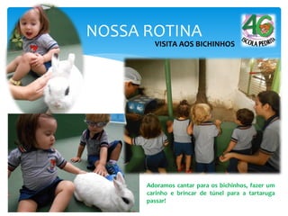 NOSSA ROTINA
VISITA AOS BICHINHOS
Adoramos cantar para os bichinhos, fazer um
carinho e brincar de túnel para a tartaruga
passar!
 