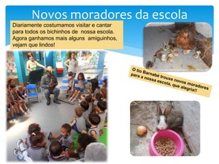 Novos moradores da escola
Diariamente costumamos visitar e cantar
para todos os bichinhos de nossa escola.
Agora ganhamos mais alguns amiguinhos,
vejam que lindos!
 