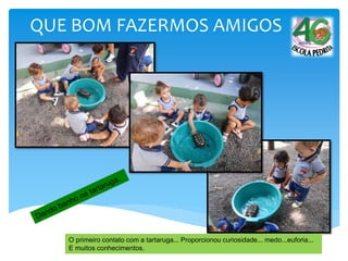 QUE BOM FAZERMOS AMIGOS
O primeiro contato com a tartaruga... Proporcionou curiosidade... medo...euforia...
E muitos conhecimentos.
 