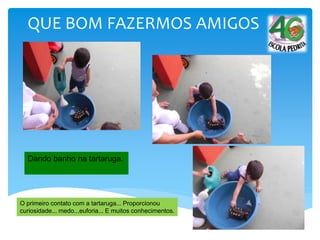 QUE BOM FAZERMOS AMIGOS
O primeiro contato com a tartaruga... Proporcionou
curiosidade... medo...euforia... E muitos conhecimentos.
Dando banho na tartaruga.
 