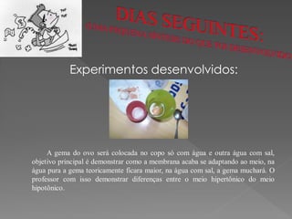 Experimentos desenvolvidos:




     A gema do ovo será colocada no copo só com água e outra água com sal,
objetivo principal é demonstrar como a membrana acaba se adaptando ao meio, na
água pura a gema teoricamente ficara maior, na água com sal, a gema muchará. O
professor com isso demonstrar diferenças entre o meio hipertônico do meio
hipotônico.
 