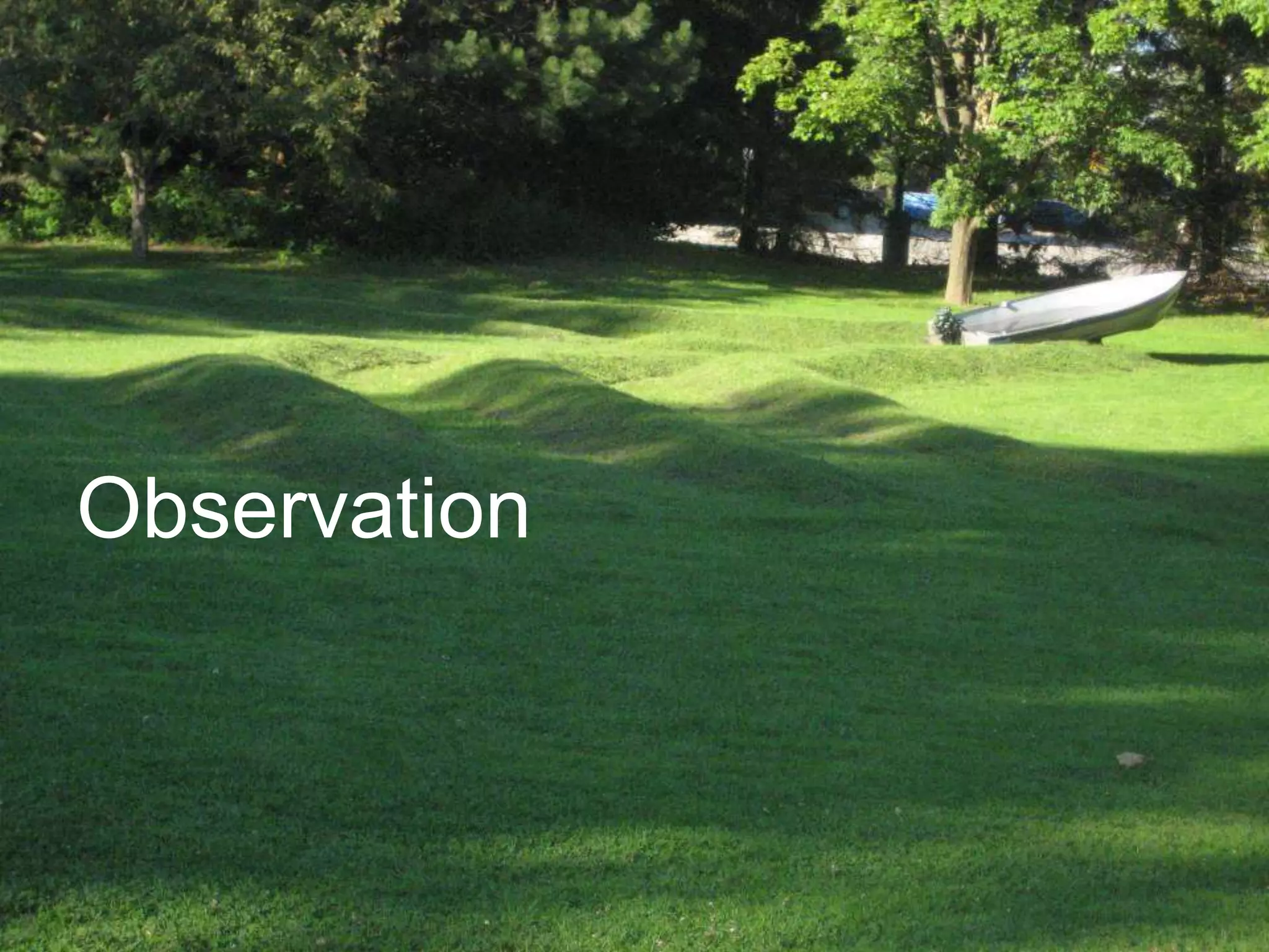 Observation