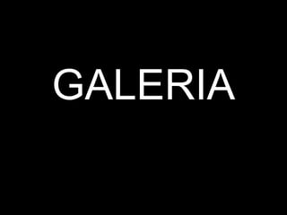GALERIA 